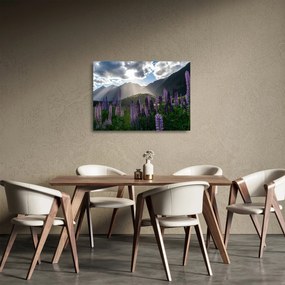Kép - Csillagfürt táj (üvegen) (70x50 cm)