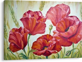 Kép - Pipacsvirágok (70x50 cm)