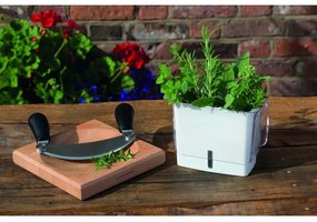 Cole&Mason - Konyhai vágódeszka hajlított késsel 21,5x51,5 cm bükk