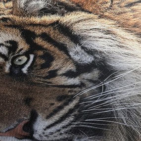 Tigris képe (70x50 cm)