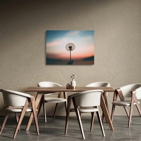 Kép - Foglak, pitypang (üvegen) (70x50 cm)