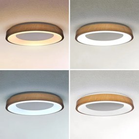 Brilagi - Dimmelhető LED lámpatest DORIA LED/60W/230V 3000–6500K, átmérő 60 cm + távirányító