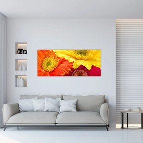 Kép - Virágok Gerbery (120x50 cm)