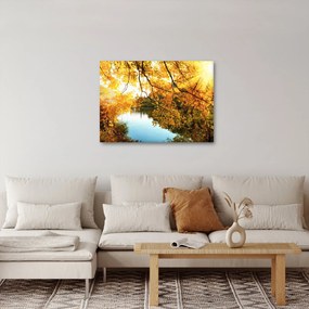 Kép - Őszi fa (70x50 cm)