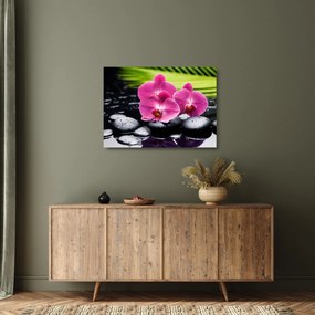 Üveg kép - Rózsaszín orchidea pálmalevéllel (70x50 cm)