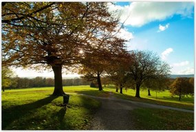 Poszterek 120x80 Őszi tájkép