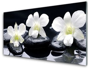 Üvegfotó Orchid Plant Stones 100x50 cm
