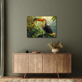 Kép - Tukan (70x50 cm)