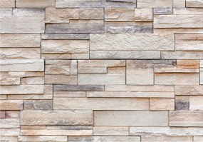 Fotótapéta Kő Természetes loft textúra 254x184 öko-design falak +ragasztó