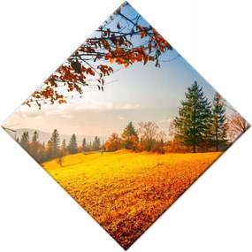 Festmények 28x28 Őszi táj