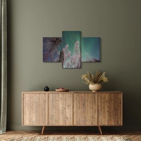 Az aurora borealis képe fagyos fák felett (90x60 cm)