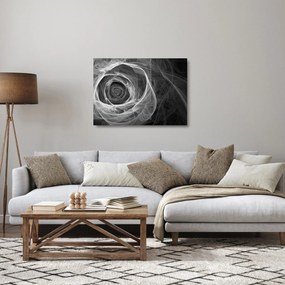 Üveg kép - Absztrakt rózsa fekete-fehér (70x50 cm)