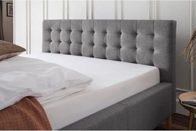 Világosszürke kárpitozott egyszemélyes ágy ágyrács nélkül 120x200 cm Malin – Meise Möbel