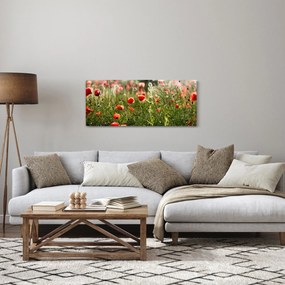 Pipacsok képe (120x50 cm)