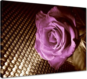 Vászonkép 50x40 Rózsa Lila és szépia