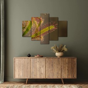 A növény képe (150x105 cm)
