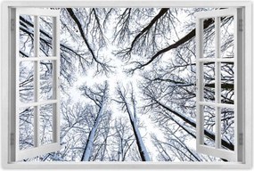 Poszterek 90x60 Fa Kilátás