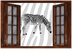 Poszterek 60x40 Zebra csíkos