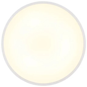 Globo 41566-15W - LED mennyezeti lámpa NIELSEN LED/15W/230V 4000K átm. 23 cm fehér