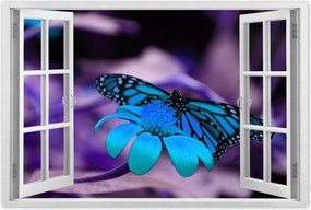 Poszter 60x40 Kék pillangó