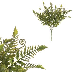 Fiatal páfrány szál, 40 cm