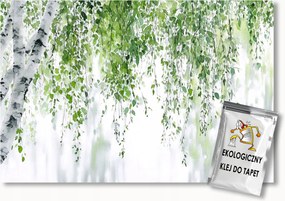 Fotótapéta Flizelina Természet Nyírfa Levelek 250x175 ragasztó