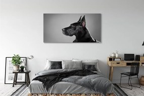 Canvas képek Fekete kutya 125x50 cm