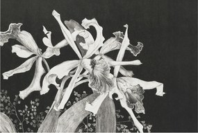 Fotótapéta Flizelin Dekoratív Hálószoba Orchidea illusztráció 104x70