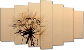 Vászonkép 140x80 Pitypang Virág Virágok