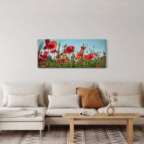 Kép - Pipacsos mező (120x50 cm)