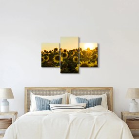 A napraforgó mező képe (90x60 cm)