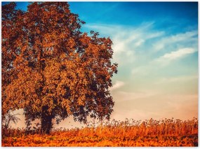 Poszterek 135x100 Jessiene szĂnek TĂĄjkĂ©p