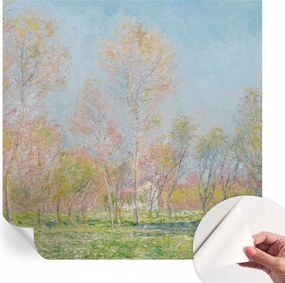 Fotótapéta Fali tapéta Hálószobába és Nappaliba Tavaszi park 250x250 cm