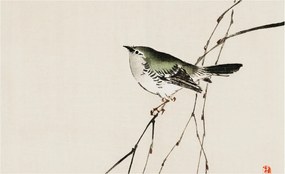 Dekoratív fotótapéta az irodába Harmonikus madár 416x254 Ragasztó