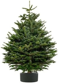 Karácsonyfa állvány 5 l, fekete