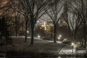 Poszter 30x20cm Central Park éjszaka, Assaf Frank