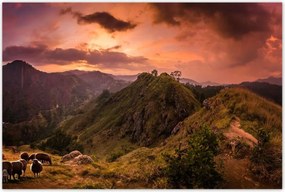 Poszterek 120x80 Tájkép bárányhegyekkel