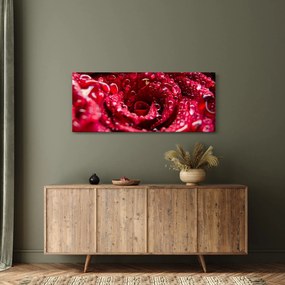 Vörös rózsa virágzata képe (120x50 cm)