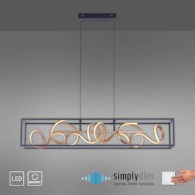 Paul Neuhaus 2416-18 - LED Szabályozható csillár zsinóron SELINA 4xLED/10,2W/230V