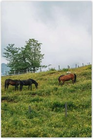 Poszterek 60x90 Tájképek Kilátások Tájképek