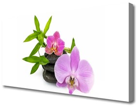Vászonkép Virág orchidea növény 120x60 cm