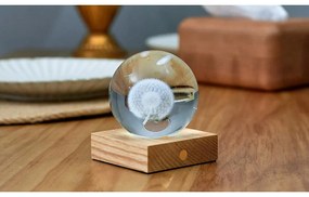 Sötétbarna szabályozható asztali lámpa üveg búrával (magasság 12 cm) Amber – Gingko