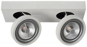 Lucide 09920/20/31 - LED Dimmelhető spotlámpa NENAD AR111 2xG53/10W/230V