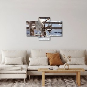 Kép - Sat (90x60 cm)