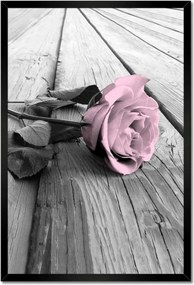 Poszter keretben 40x60 Púderrózsaszín Old pink Rose