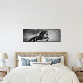 Kép - Fekete-fehér ló (órával) (90x30 cm)