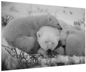 Kép - Jegesmedvék, fekete-fehér (90x60 cm)