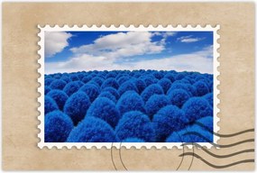 Poszterek 120x80 Klasszikus kék színben