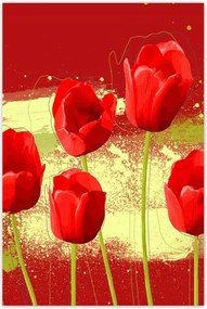 Poszterek 80x120 Piros pipacs