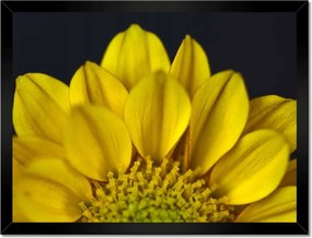 Poszterek keretben 40x30 Nőnap Ajándék Love